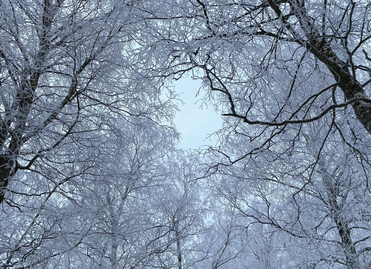 Winter vibes❄️    Kaynak