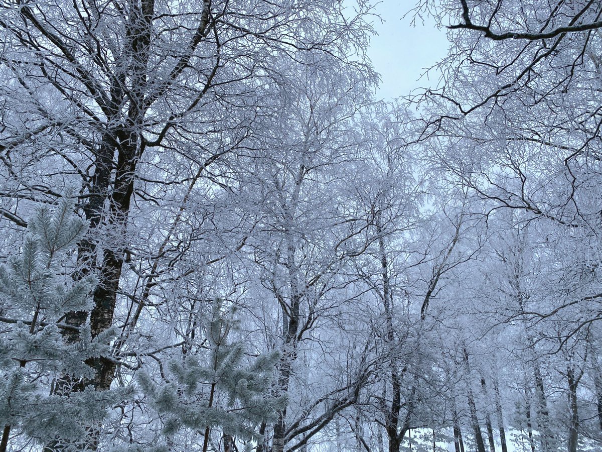 Winter vibes❄️    Kaynak
