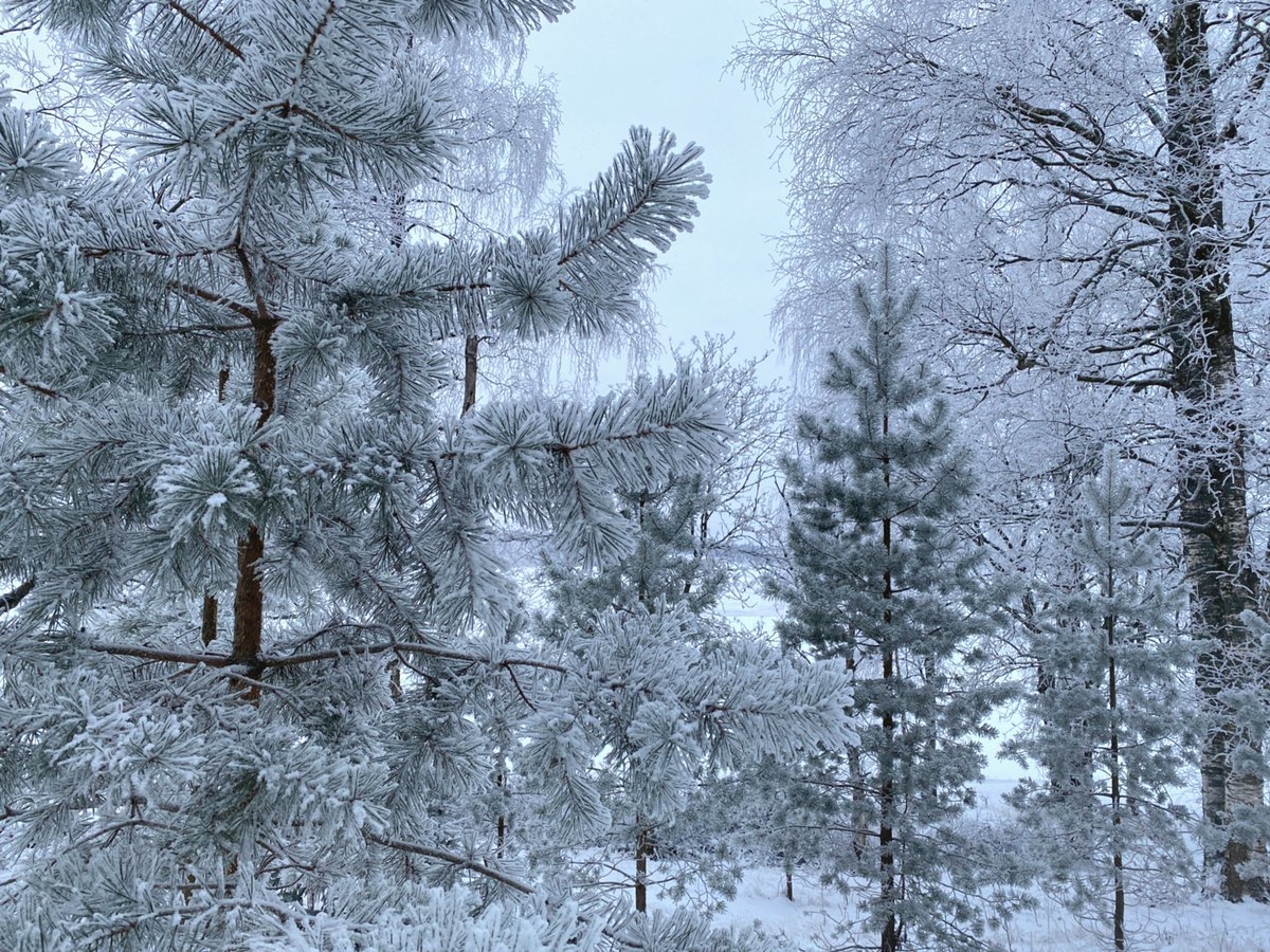 Winter vibes❄️    Kaynak