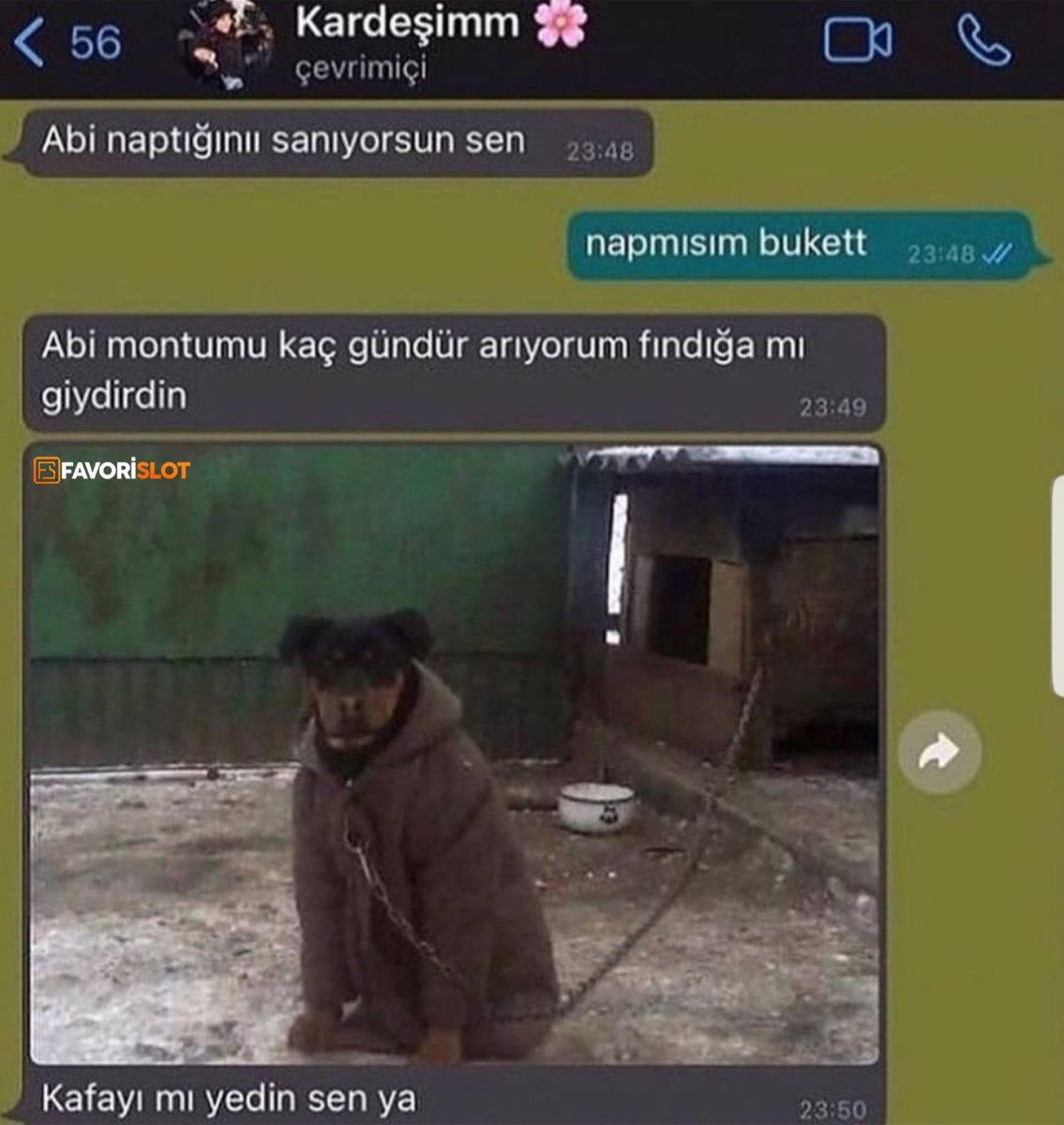 Kaynak