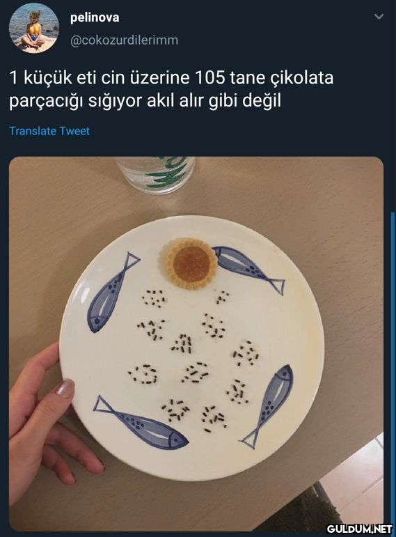 pelinova @cokozurdilerimm...