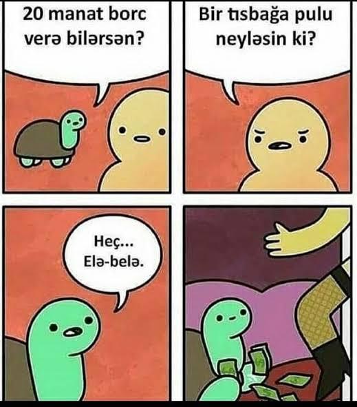 Bir tısbağa pulu neyləsin...
