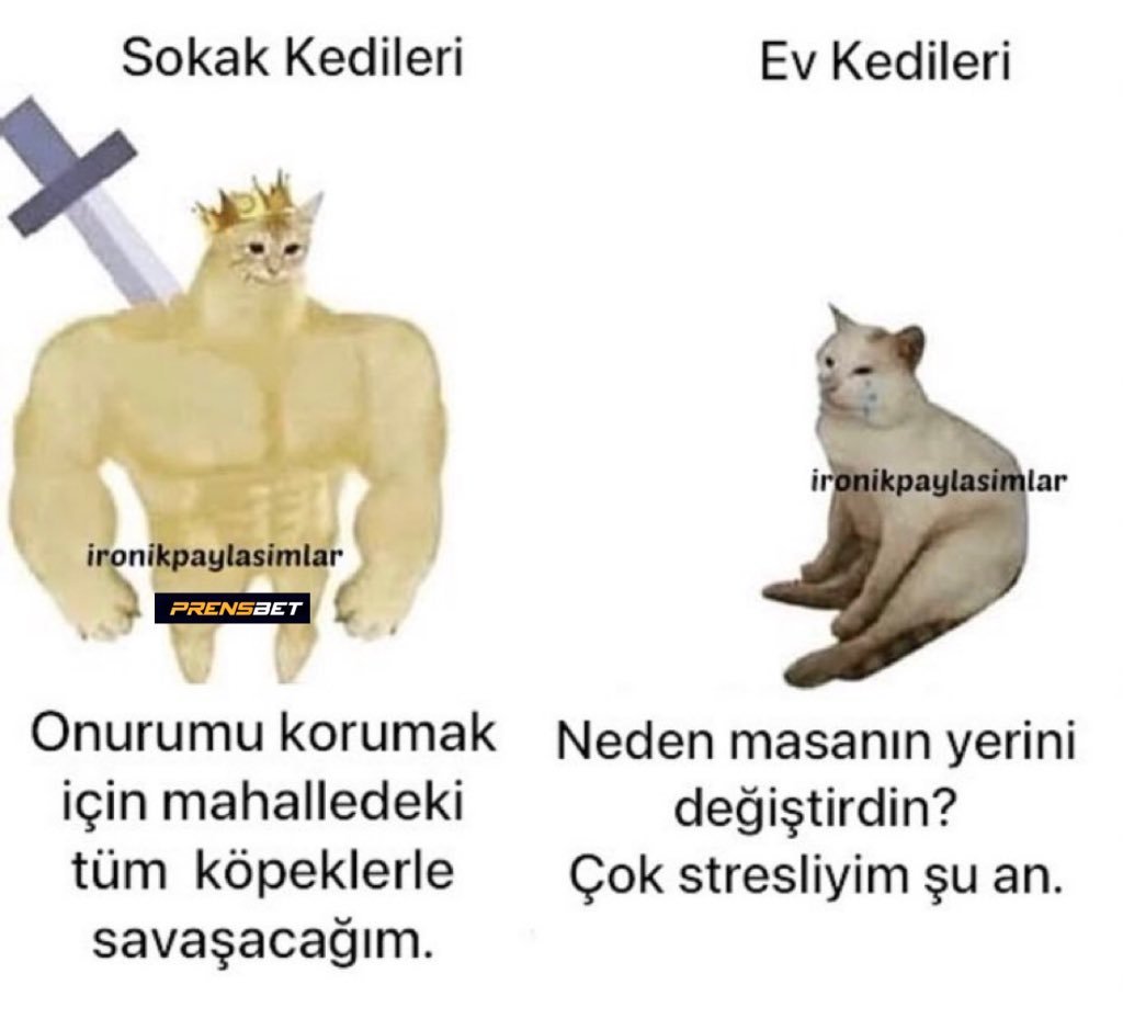 Kaynak