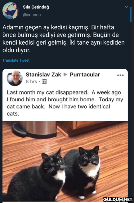 Sıla Çetindağ @coanna...