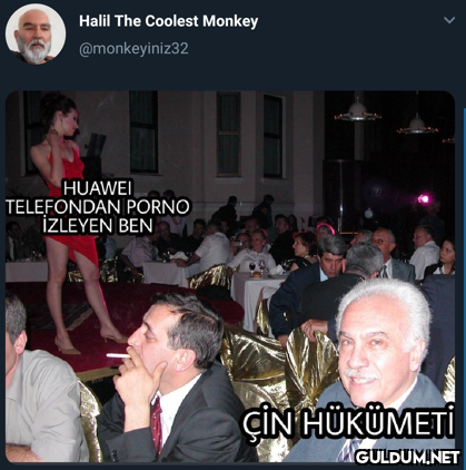 Halil The Coolest Monkey...
