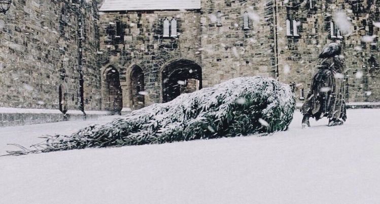 Hogwarts'ta kış❄️    Kaynak