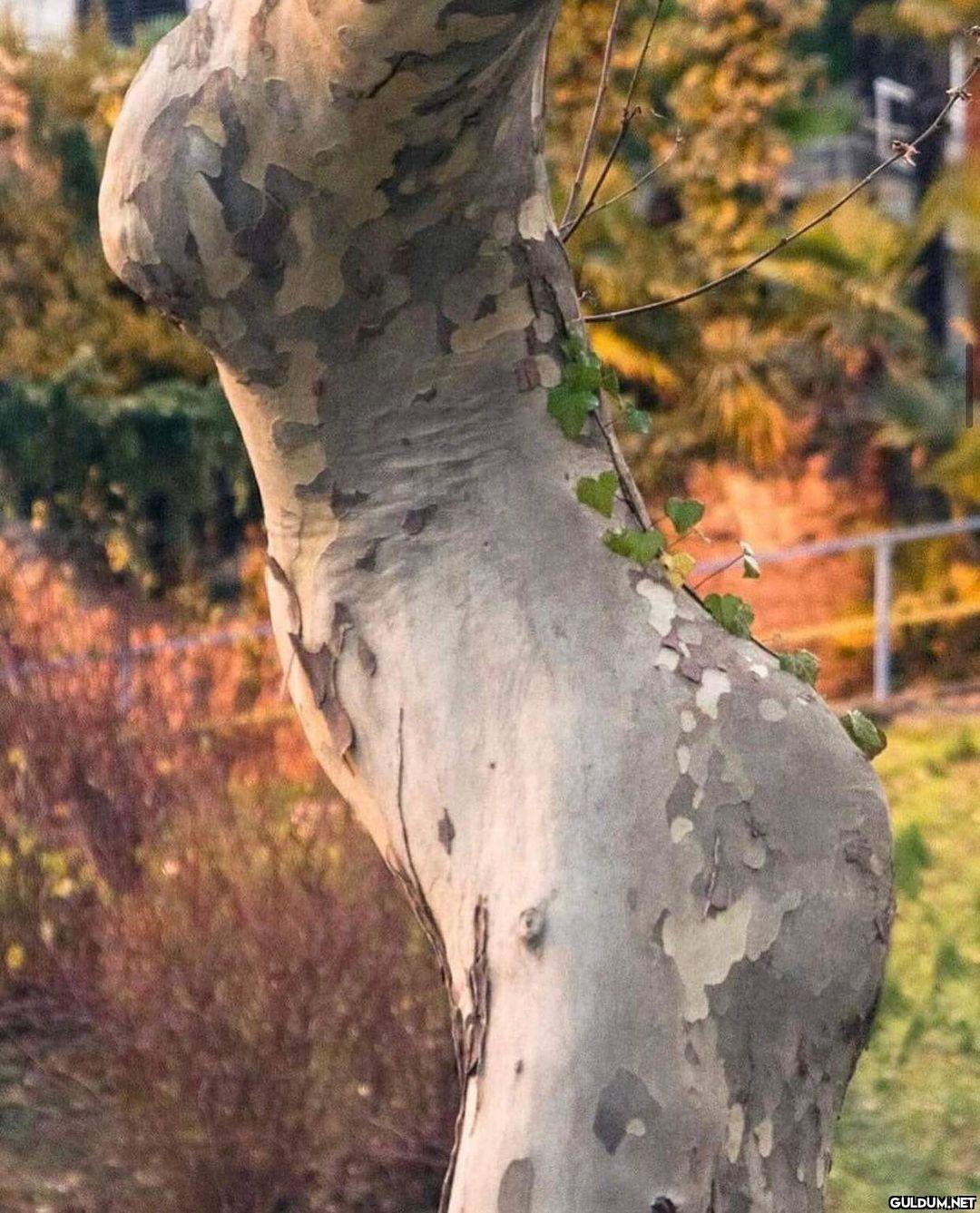 anlamsız fotoğraflar 2238  Kaynak