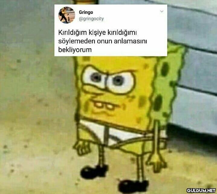Anlamıosun  Gringo...