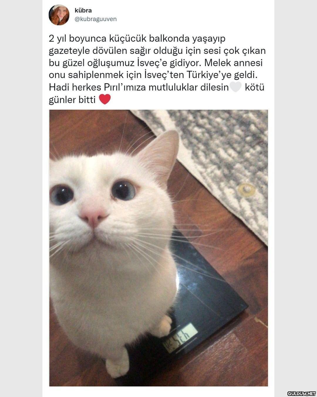 kübra @kubraguuven 2 yıl...