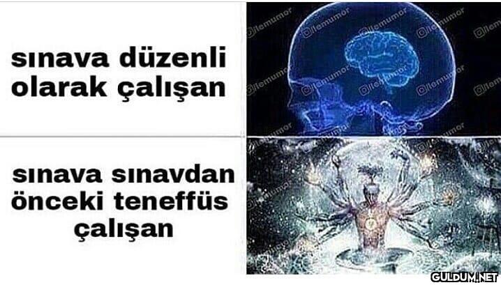 Hiç çalışmayan  sınava...