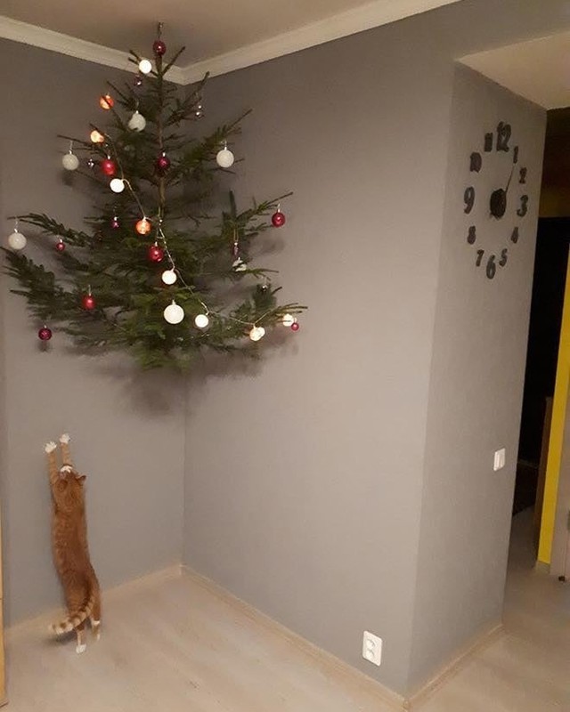 How to protect Christmas...