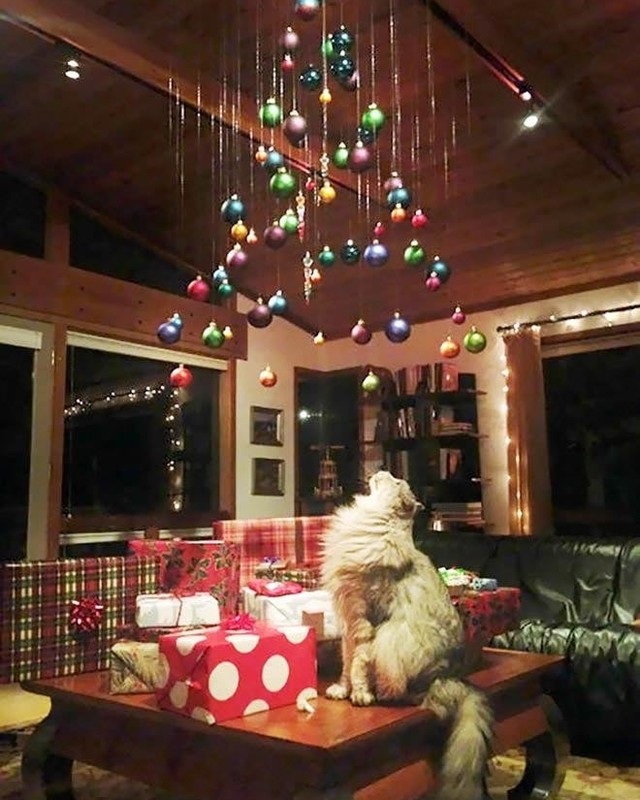 How to protect Christmas...