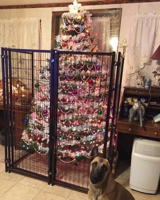How to protect Christmas...