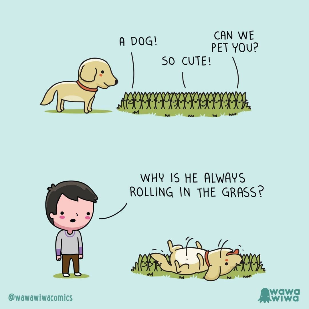 Everybody wants to pet a...