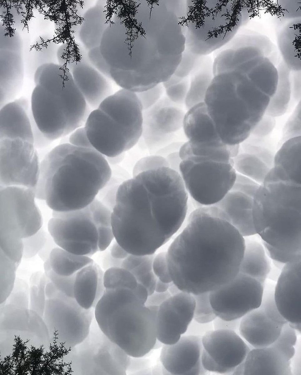 Bubble Storm...