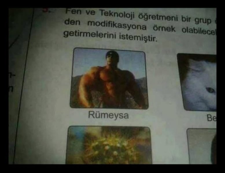 Fen ve Teknoloji öğretmeni...