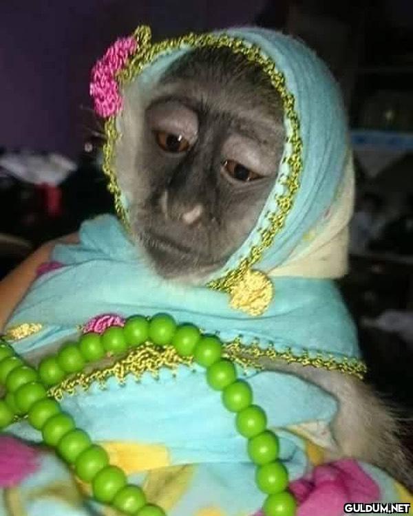 anlamsız fotoğraflar 2635  Kaynak