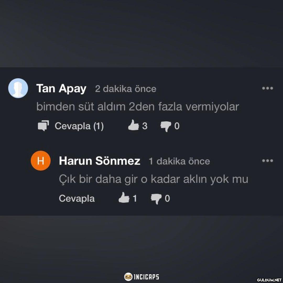 Bu zekaya şaştım kaldım ...