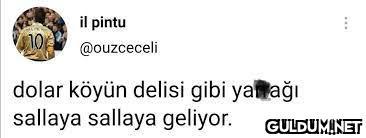 il pintu V10 @ouzceceli...