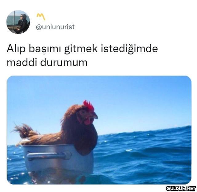 @unlunurist Alıp başımı...