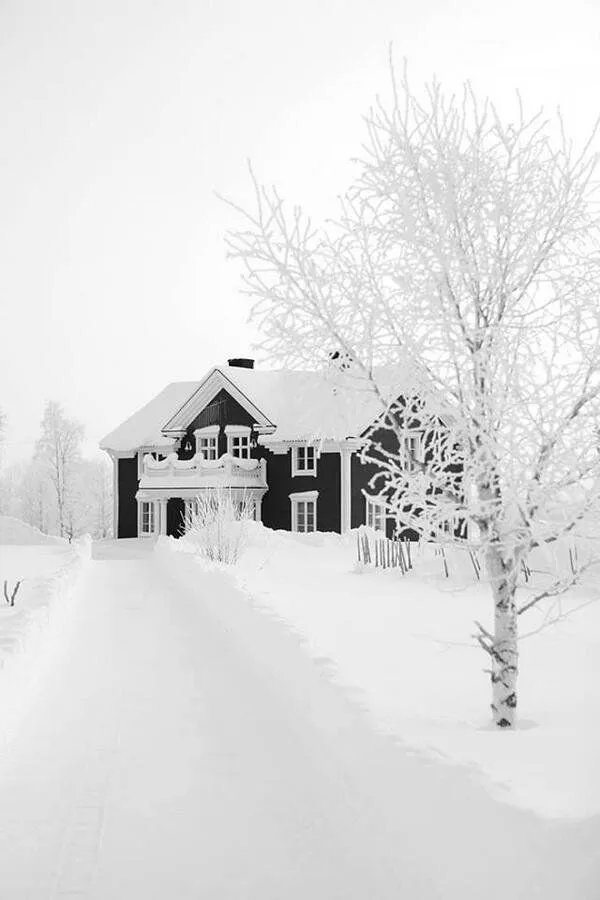 ❄️Finlandiya'da kış..    Kaynak