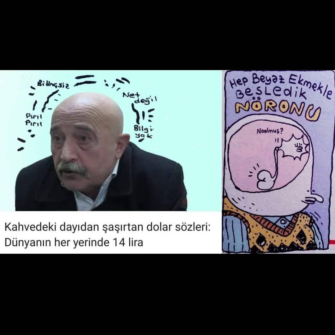 Pırıl Pırıl kafalar.....