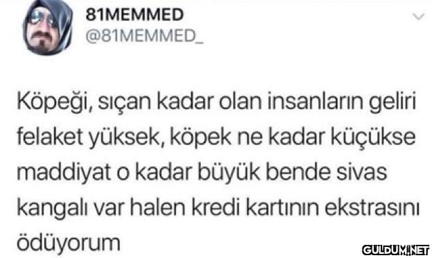 81MEMMED @81MEMMED_...