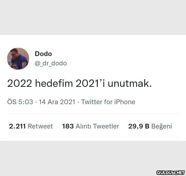 Dodo @_dr_dodo 2022...