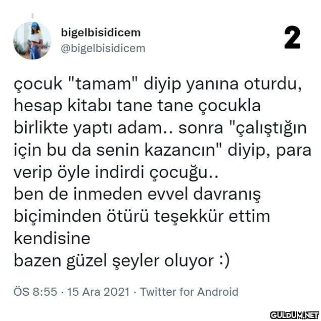 1 bigelbisidicem...