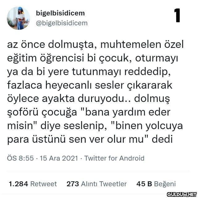 1 bigelbisidicem...