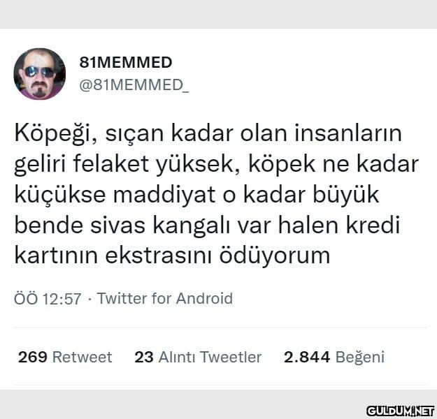 81MEMMED @81MEMMED_...