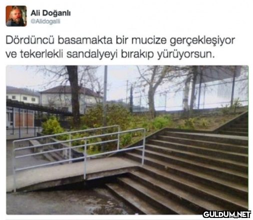 Ali Doğanlı @Alidogalli...