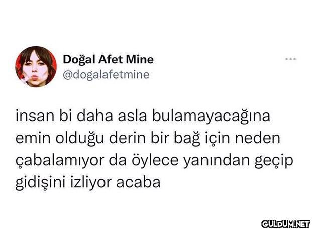 Doğal Afet Mine...