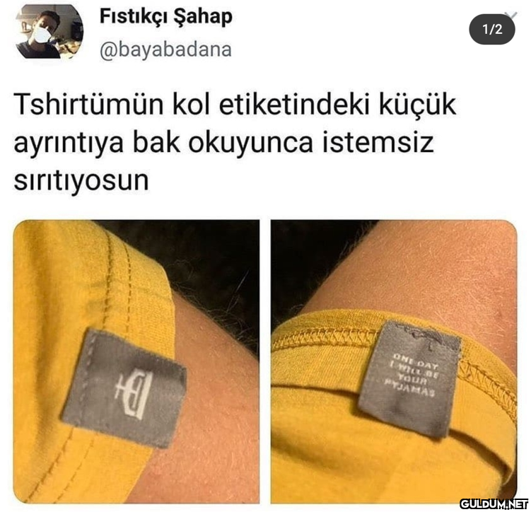 1/2 Fıstıkçı Şahap...