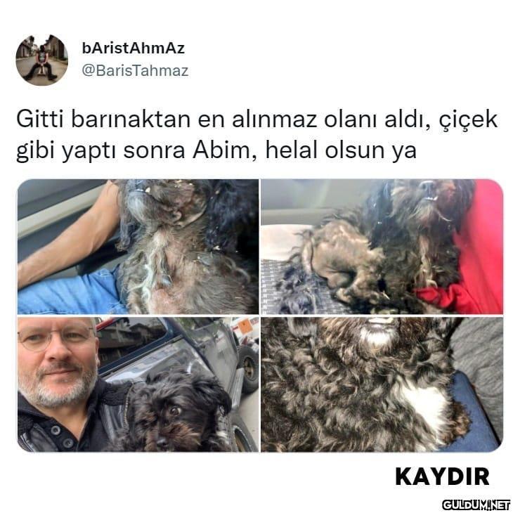 👏 👏 (Kaydırmalı) ...