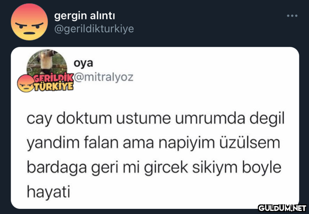 gergin alıntı...