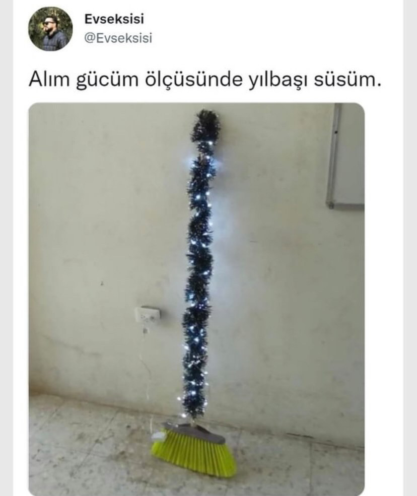 Güzel fikir    Evseksisi...
