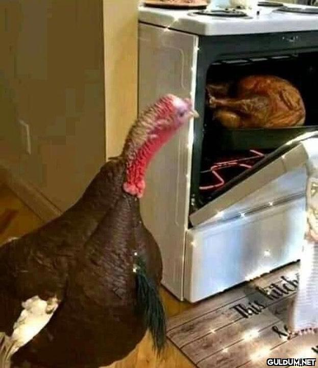 anlamsız fotoğraflar 2223 ...