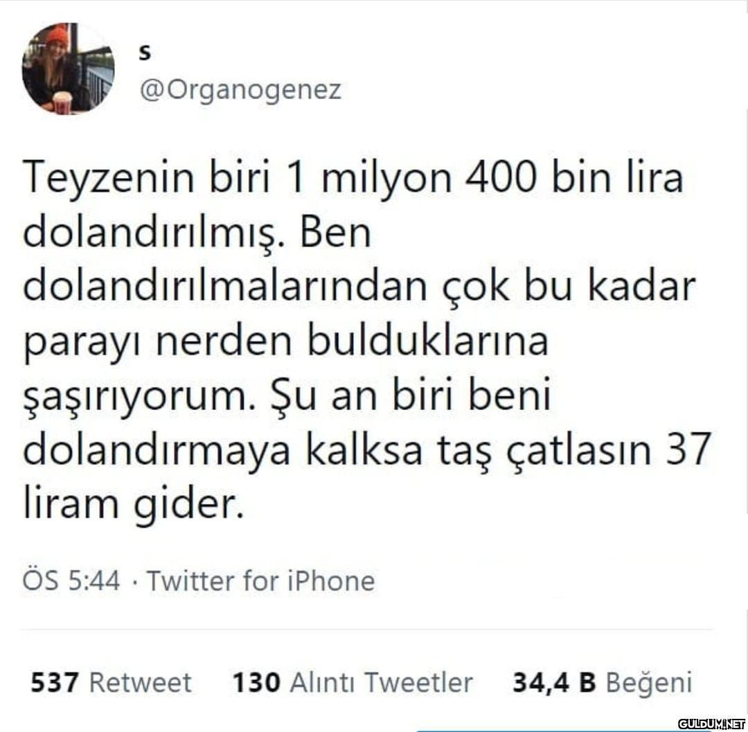 S @Organogenez Teyzenin...