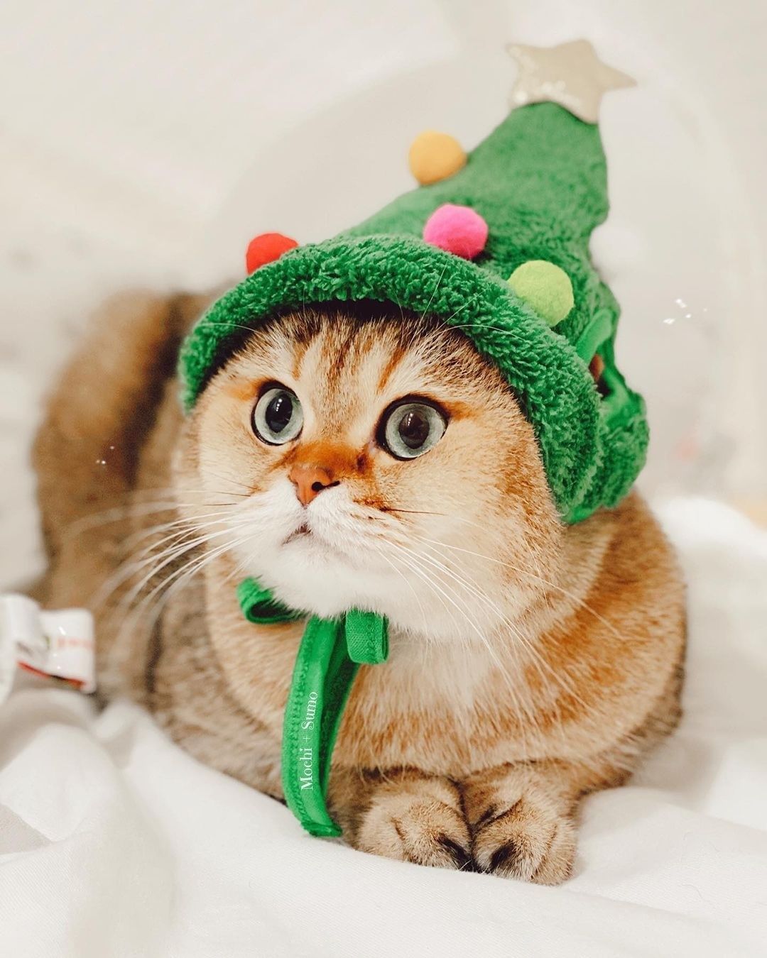 Christmas is just around...