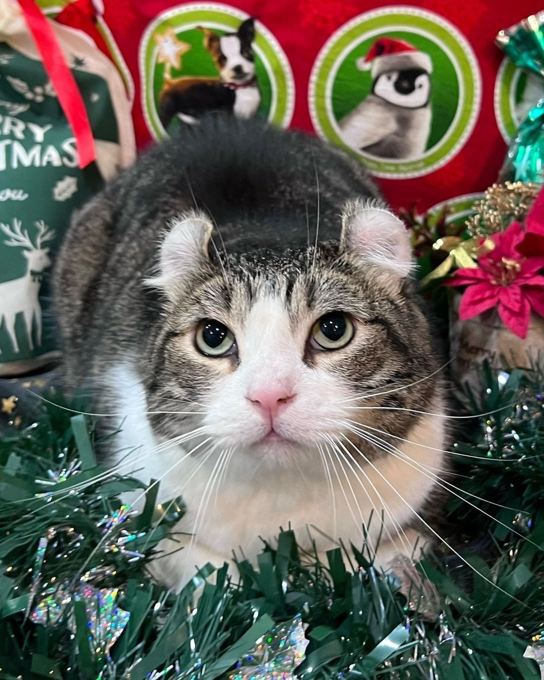 Christmas is just around...