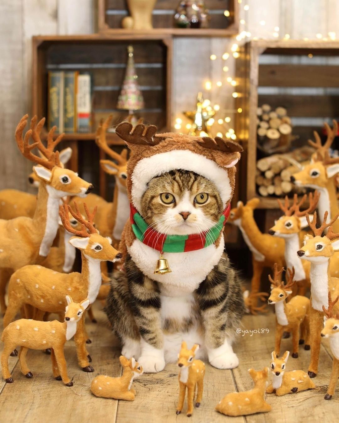Christmas is just around...