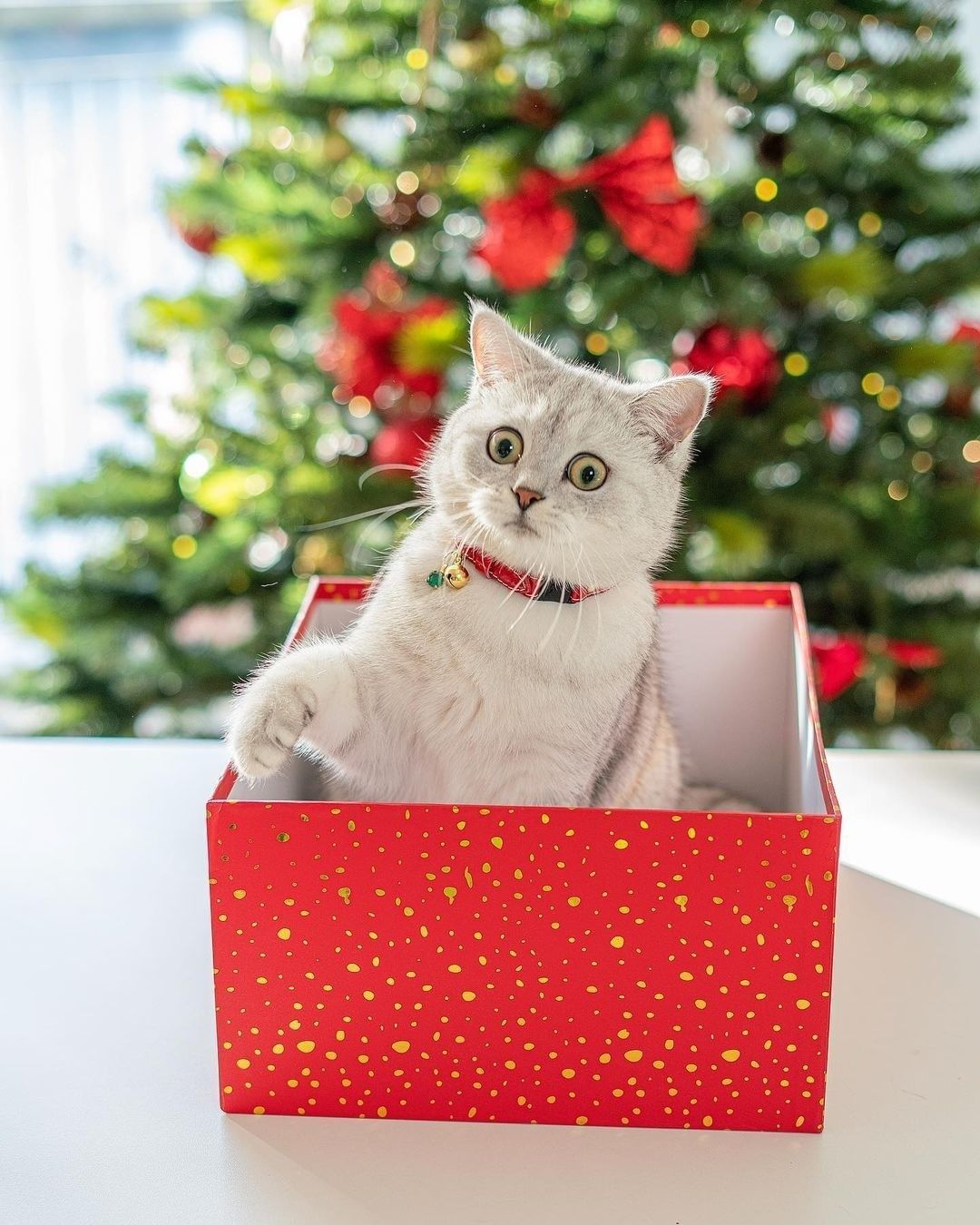Christmas is just around...