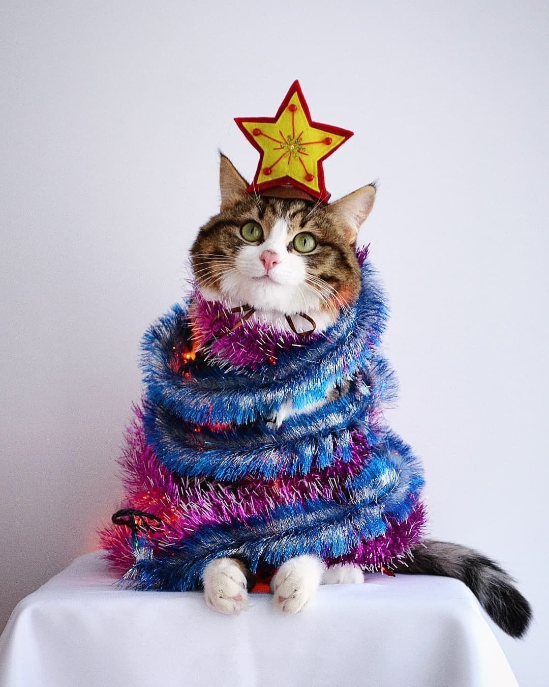 Christmas is just around...
