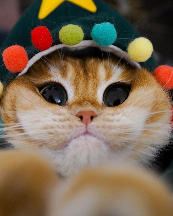 Christmas is just around...