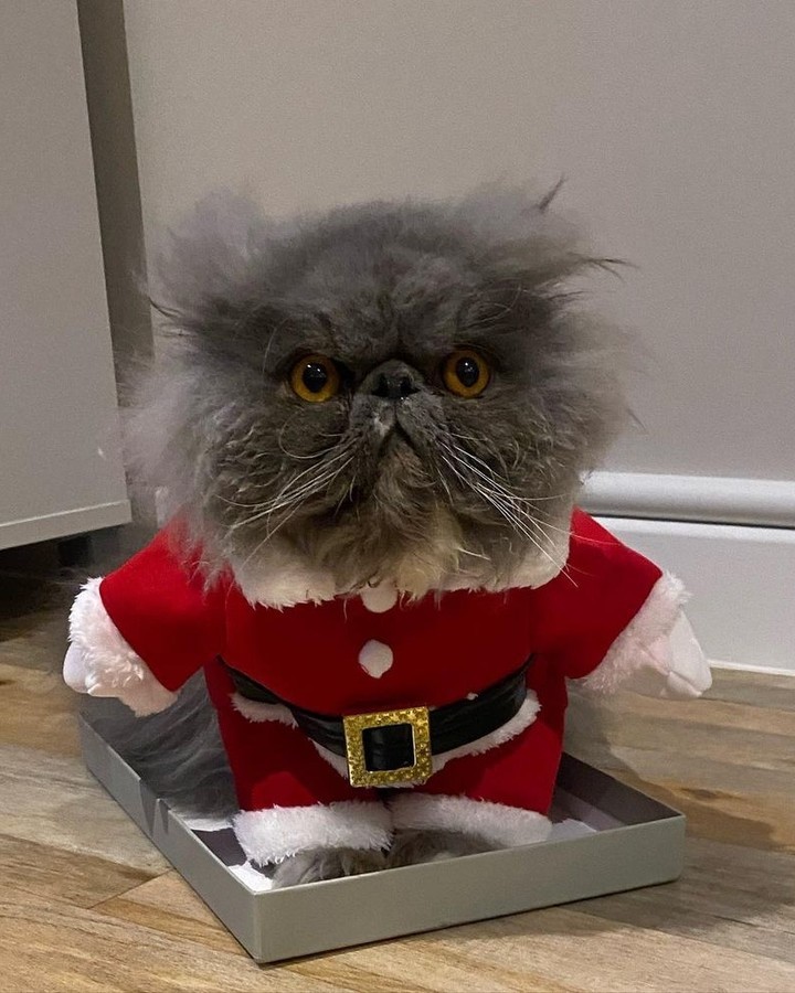 Christmas is just around...