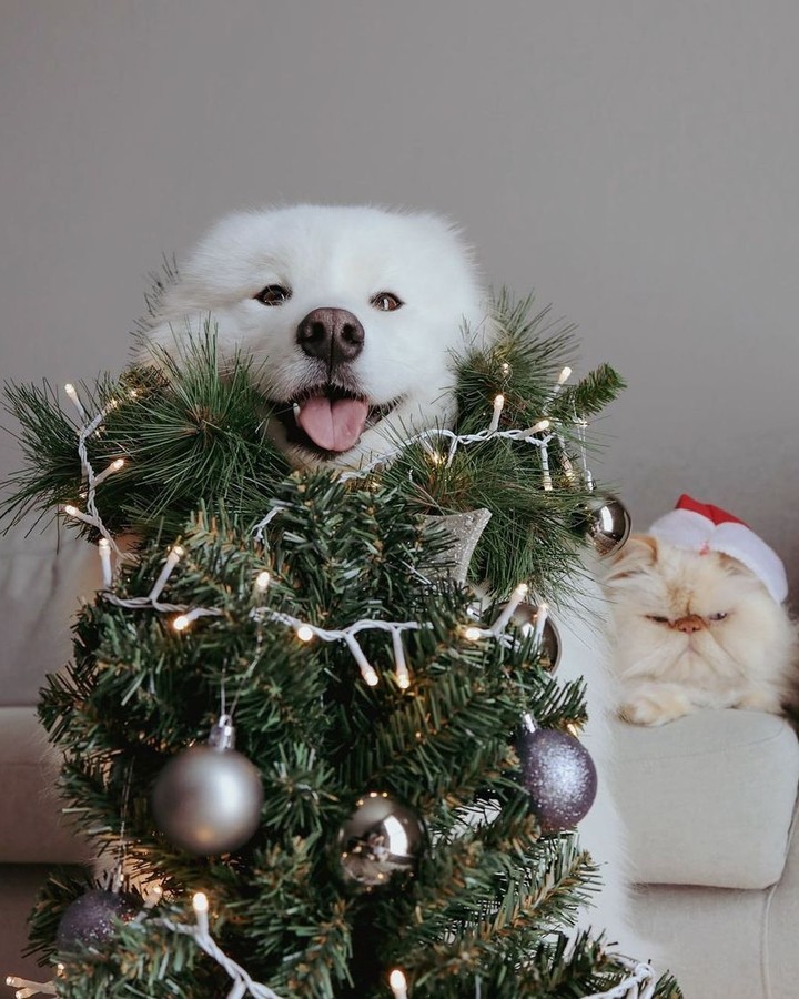 Christmas is just around...