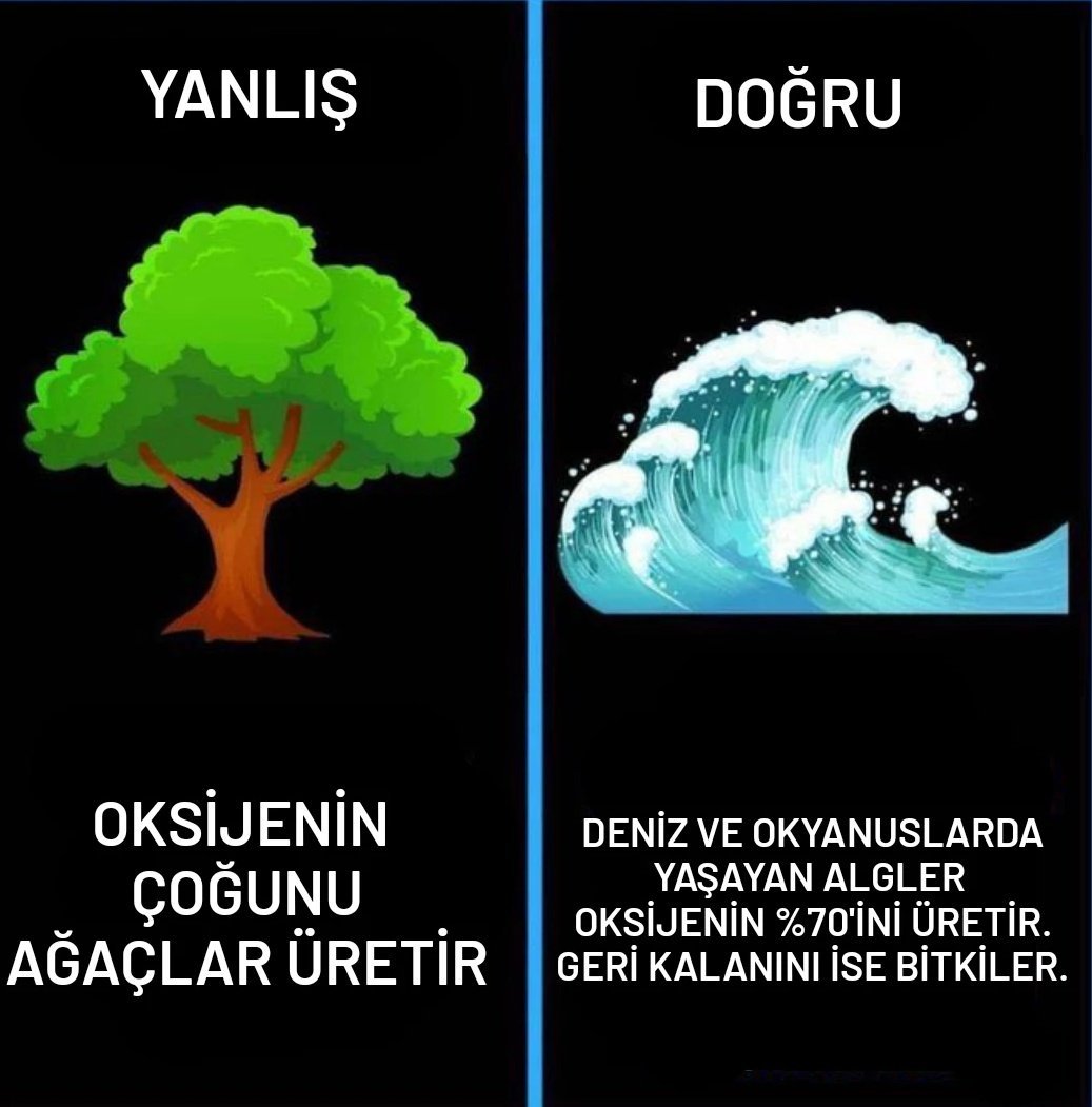 Kaynak