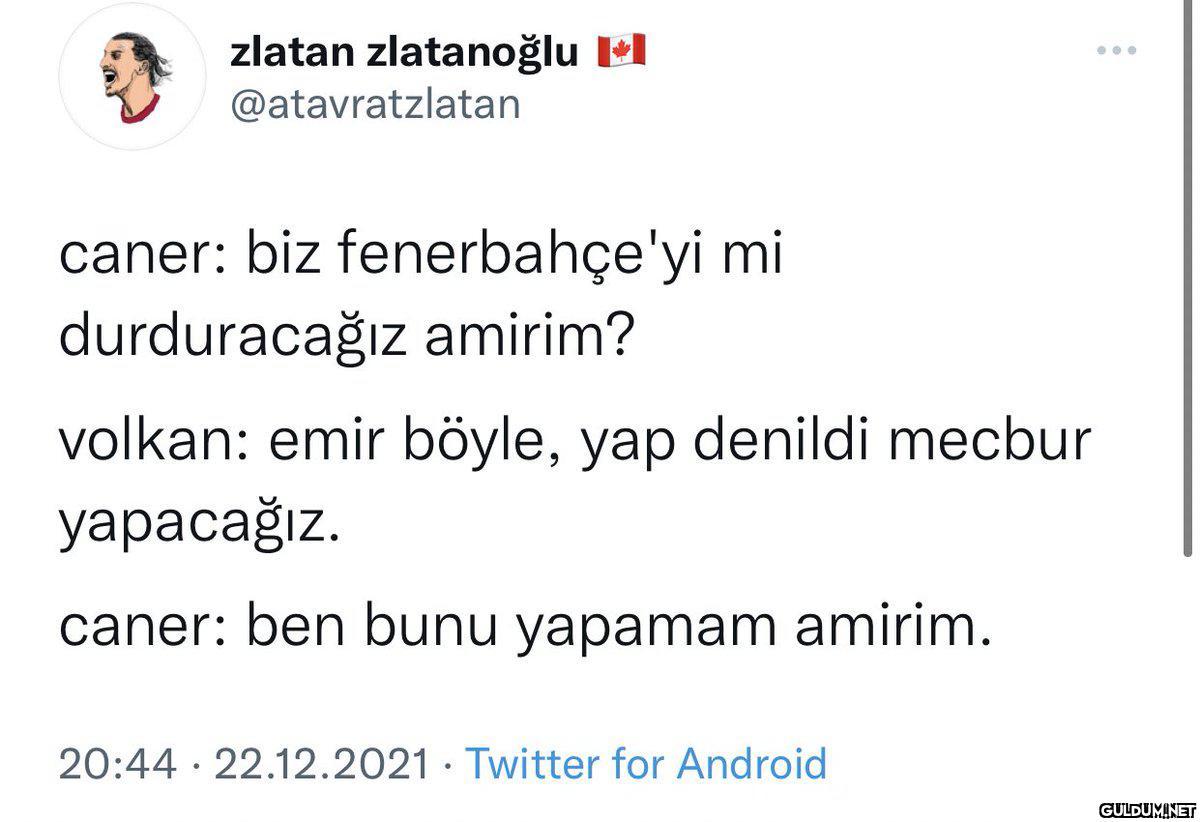zlatan zlatanoğlu Il...