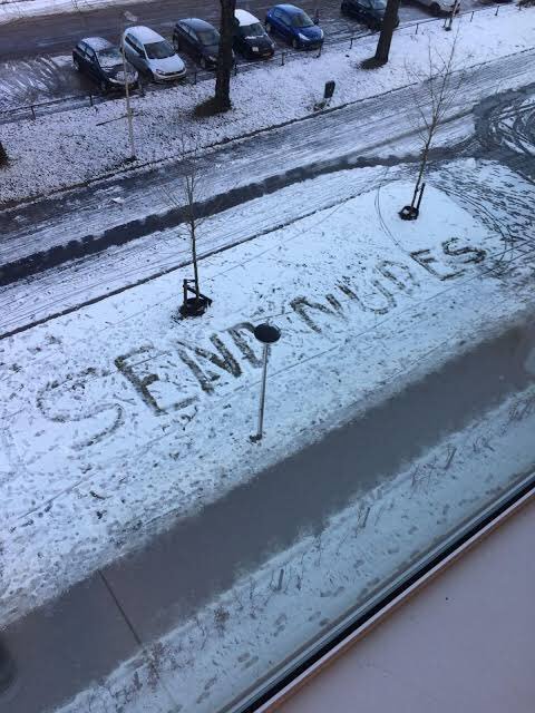 kışın ülkenin bitki örtüsü...